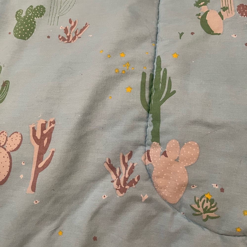 Blue and Green Comforter with Whimsical Cactus Design